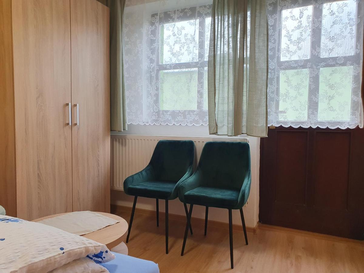 Pension Zeleny Strom ミクロフ エクステリア 写真