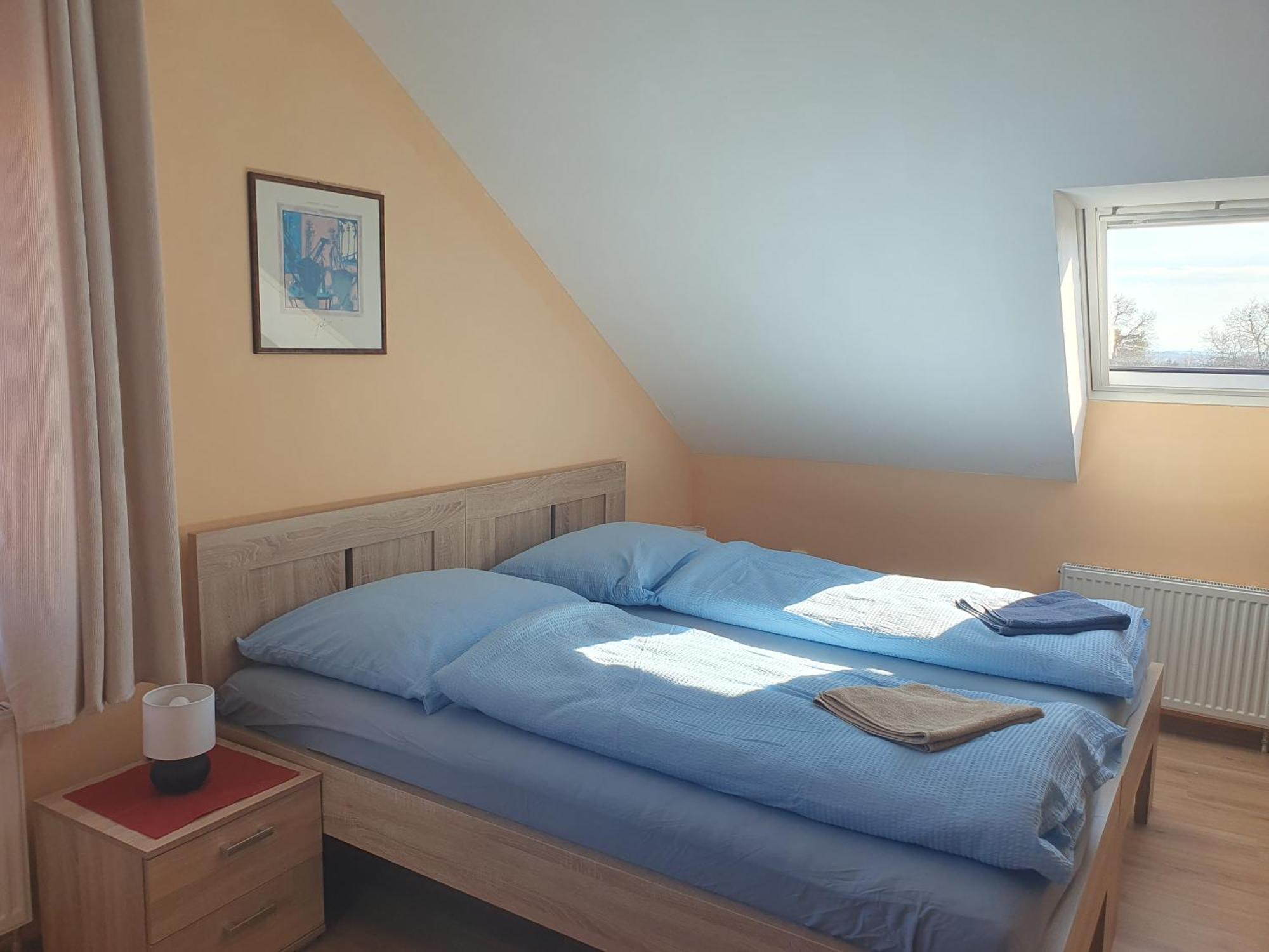 Pension Zeleny Strom ミクロフ エクステリア 写真